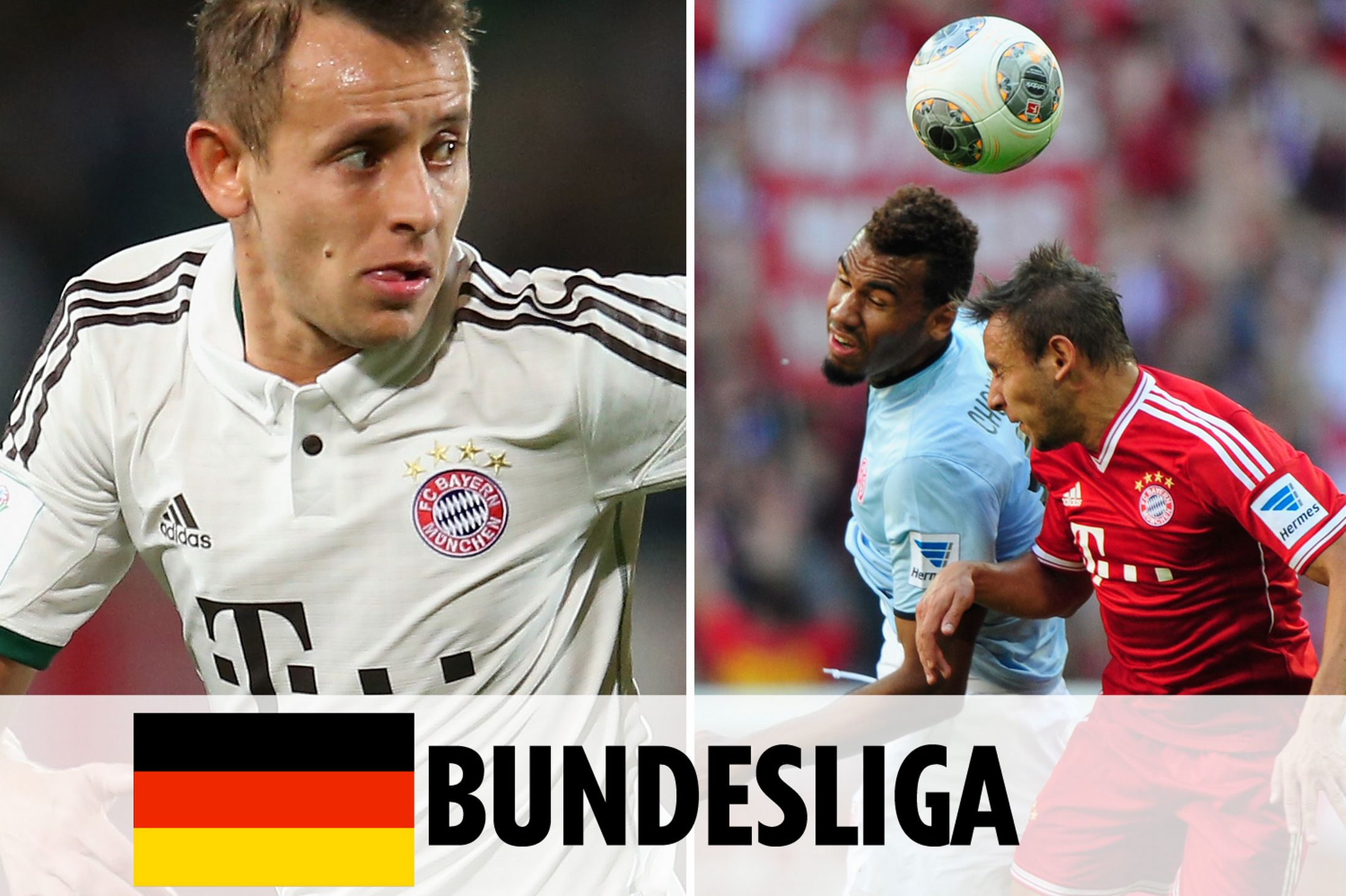 根据鲁媒的 根据鲁媒的