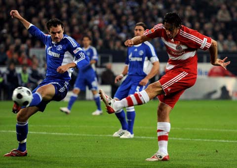 在众多球迷 在众多球迷