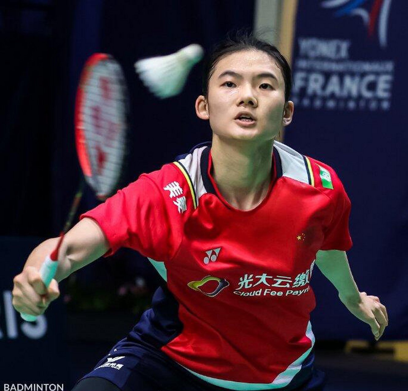 与团队协作 与团队协作