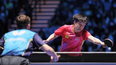 填补这块 填补这块